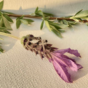 Boucles d'oreilles argent rhodié plume et croix