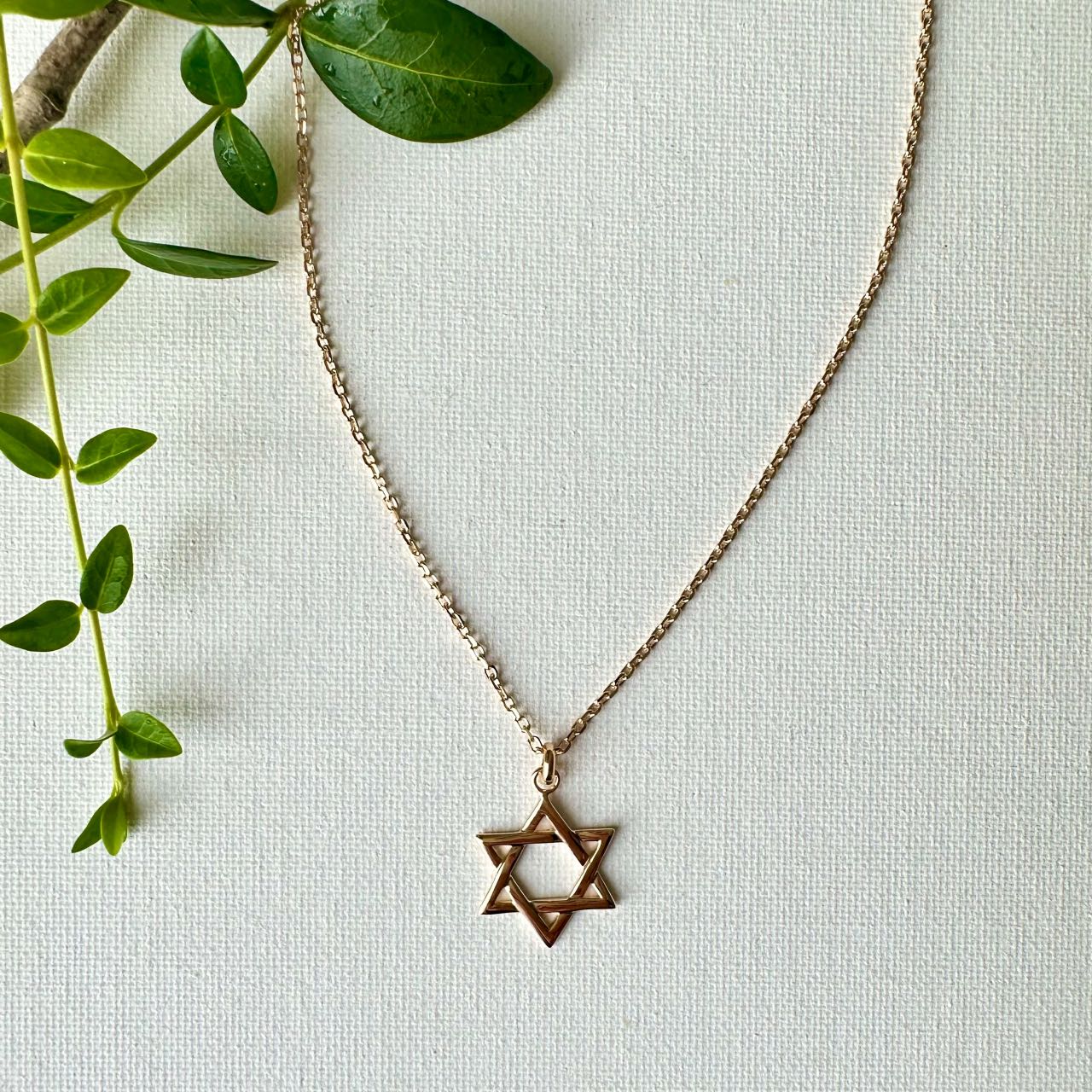 Collier homme étoile de David