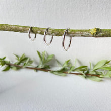 Créoles fines en argent 14 16 et 20 mm présentées sur une tige d'arbuste