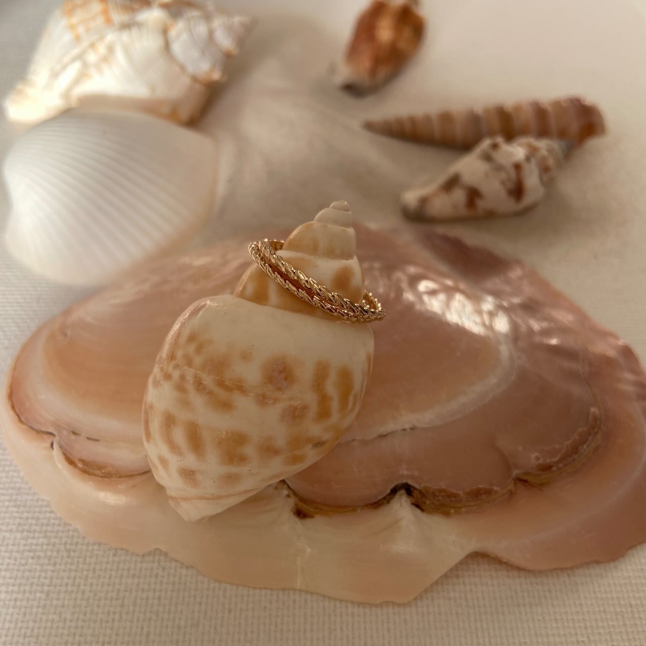 Double bague torsadée plaqué or