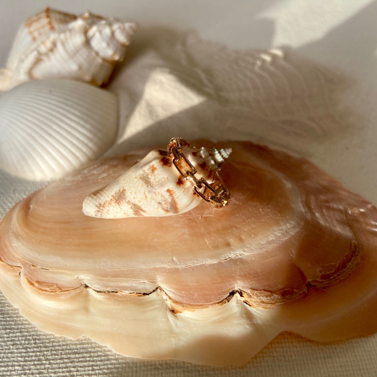 Bague plaqué or femme posée sur une coquillage