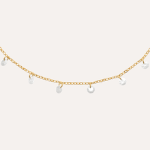 gros plan pampiges collier plaqué or