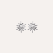Boucles d'oreilles puces forme flocon argent