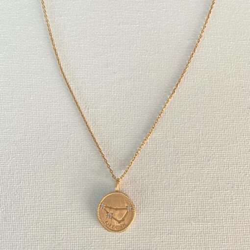Collier plaqué or pendentif Capricorne